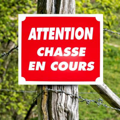 Battues de chasse à La Broque