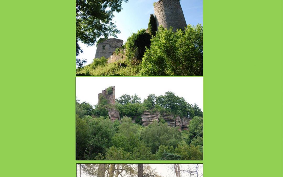 «La route des châteaux de Salm»